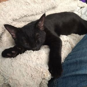 Meet your Posher, Linda